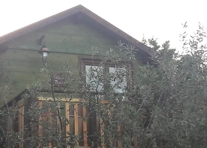 Palazzo Conforti Tree House Resort Marano Marchesato
